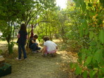 DSC02842.JPG